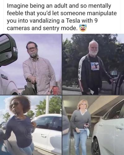 TESLA terrorist