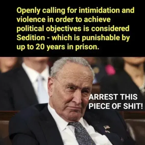 image_2025-03-31_061807571