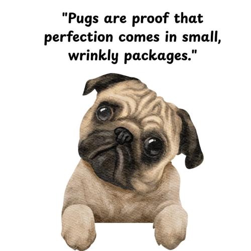 FB_IMG_1741214360322