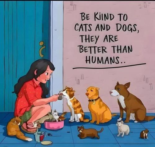 FB_IMG_1740757275922