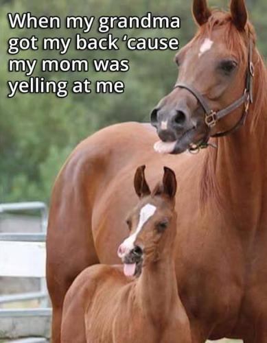 FB_IMG_1741286701775