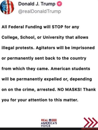 81b24c5f14bd30612dc2dc512b1e46ffa0ba3ac14931e10cd5511dc8058a84ee_1