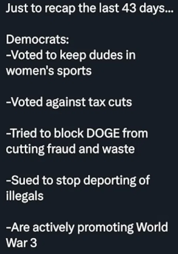 image_2025-03-18_065258547