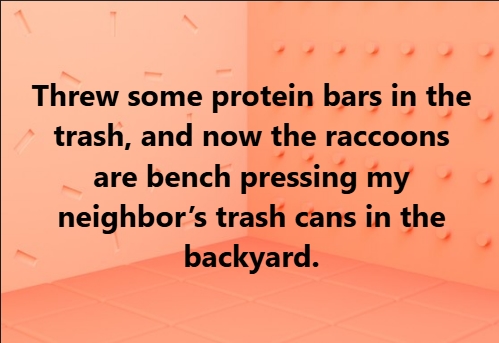 Protein Bars And Raccoons