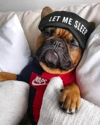 FB_IMG_1741564435905