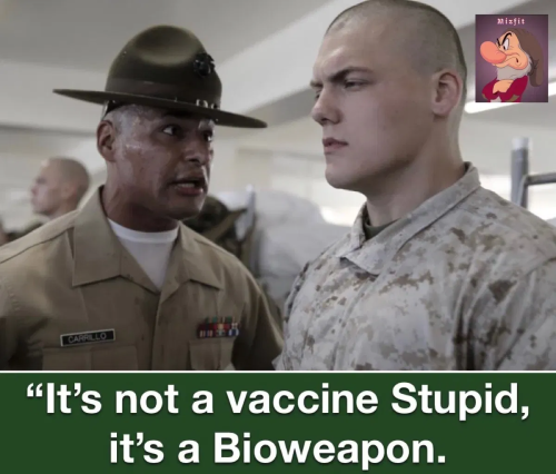 image_2ACCD29F-089B-4AD5-9D8C-CC2FC69CFD00