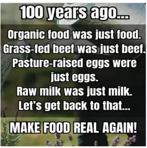 image_2025-03-29_085334406