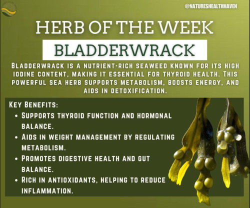 Screenshot 2025-03-19 125838