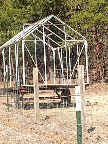 IMG_20250303_124641607