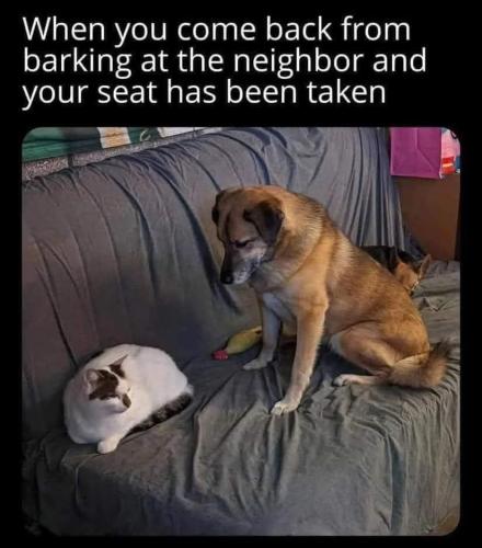 FB_IMG_1741791209743