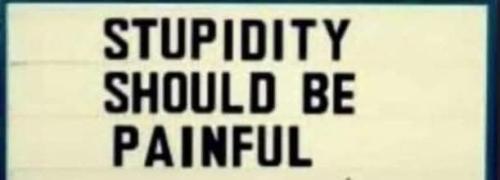 FB_IMG_1743178071915