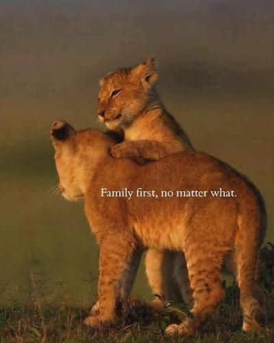 FB_IMG_1741728263677