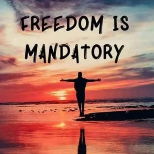 50cdb936-c219-443a-81ba-6702f01c069c