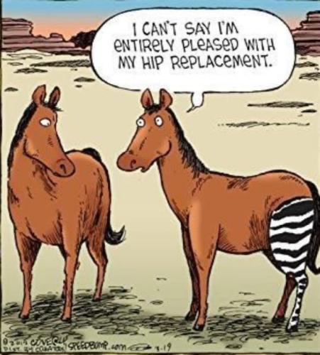 12FFD70F-F25B-497B-9178-C283FC1D1C5A