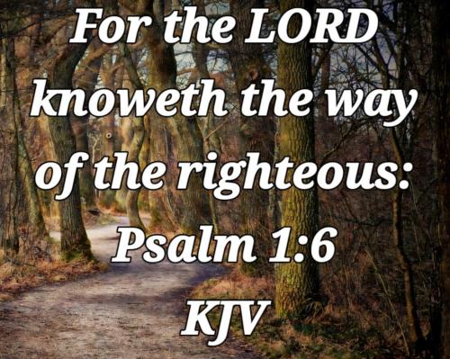 c3a39813-9417-478c-a720-78c383bee1ea