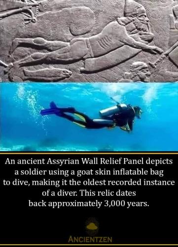 C24D56F0-1EB9-4D69-B68F-6E9930FDDD79