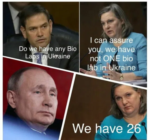 image_2025-03-22_092349799