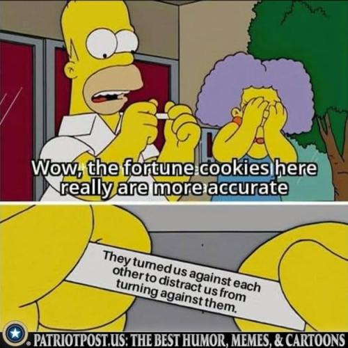 Fortune Cookies