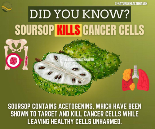 Screenshot 2025-03-10 150359