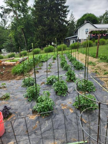 e07c1ff1-791b-4ec0-8dab-c3e31935f325