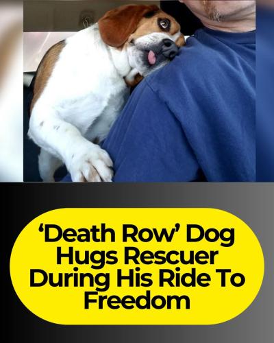 FB_IMG_1742832251220