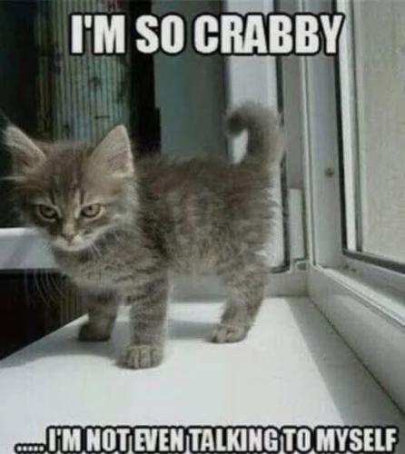 FB_IMG_1742239999158