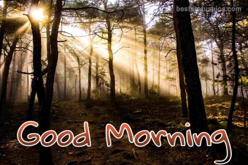 good-morning-spring 3