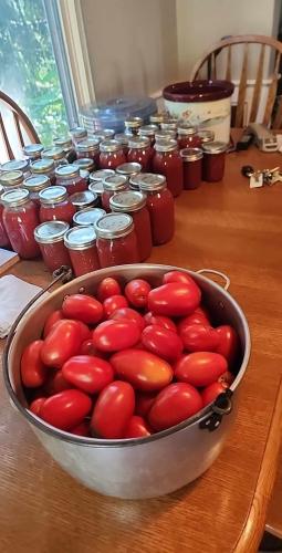 0a05956e-a16d-48fc-9cca-3afe896f2ec5