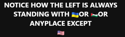 image_2025-03-02_141010805