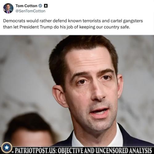 01JPNZ1KQYHXAB0S7B7JW1HQNA