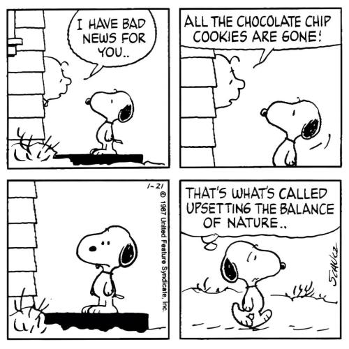 FF4866FD-18C2-4211-944C-42430E0BC22D