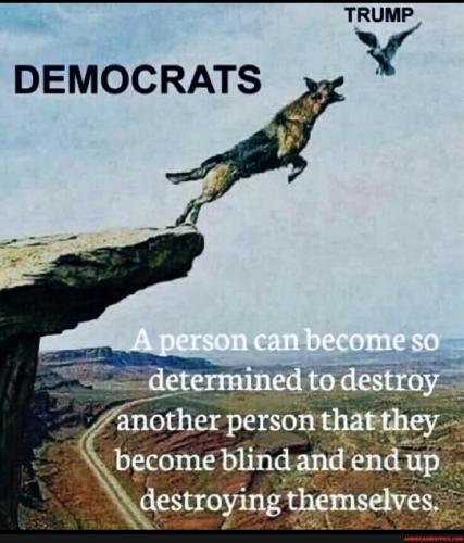 d65866cfdfb9b0a856638896e16cfc6091c5f7c3038c9779fb12b9e436e4323d_1