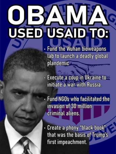USAID OBAMA