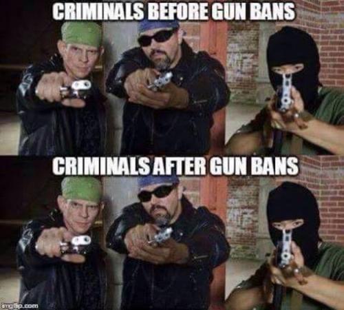 Gun Bans