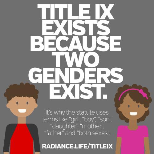 title 1x