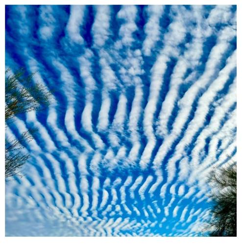 68b681c5-ef29-4014-84fe-b2c951d58048