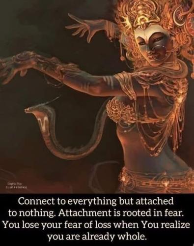 ,       ,        423193798_7468111