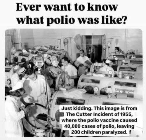 image_467560FD-845A-48E8-AC26-4FFE7778FB01