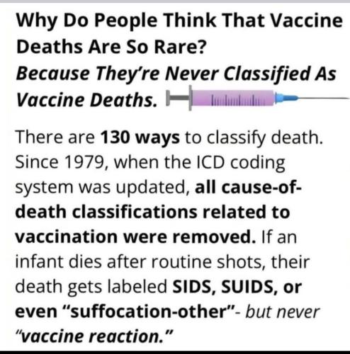 IMG_20250325_022959_050