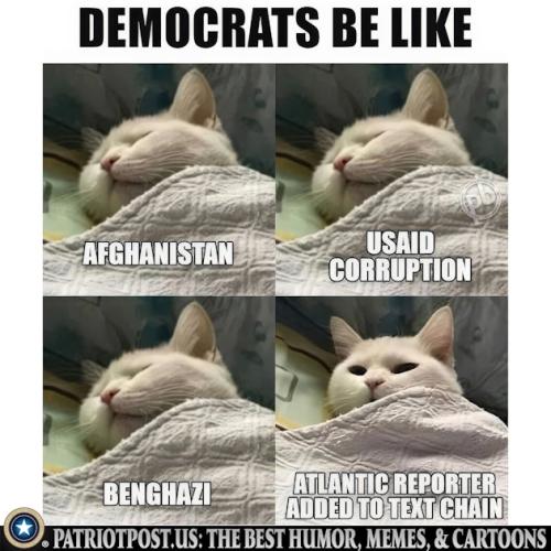 01JQEDCWQZ77A1BPE2CY9WXGAF