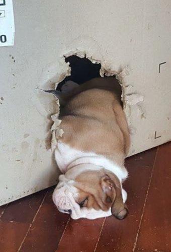 FB_IMG_1743359542308