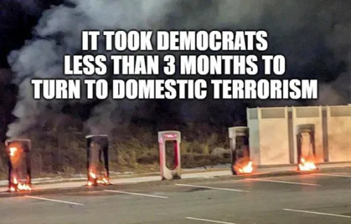 image_2025-03-24_064947105