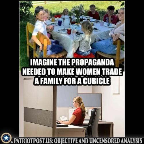 01JPSXF3MHK9KW20Y31P1HGF6J