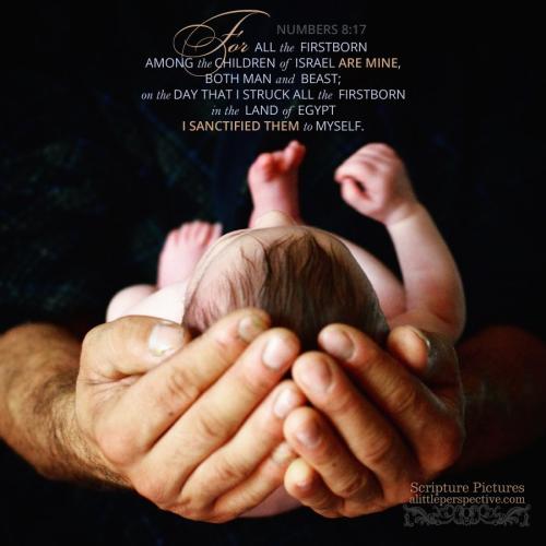 num-8-17-NKJV-unsplash