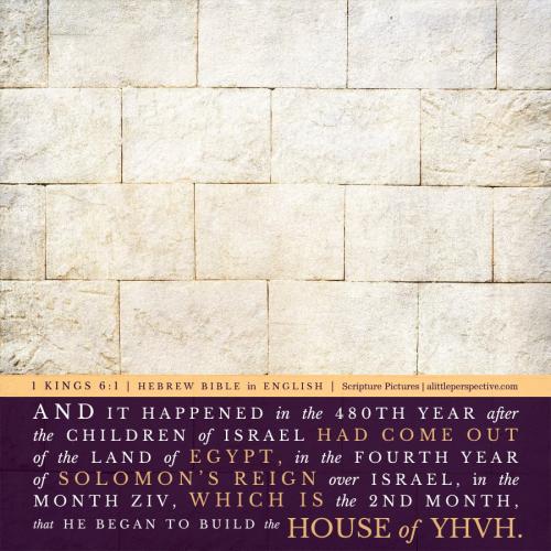 1-kin-6-1-HBE-unsplash