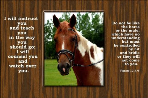 7a4cfbd269799dbd20610a3f7a09b63e--pull-it-govt-mule-778841350