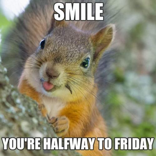 FB_IMG_1743016442338