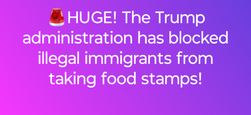 Screenshot_20250311-204857