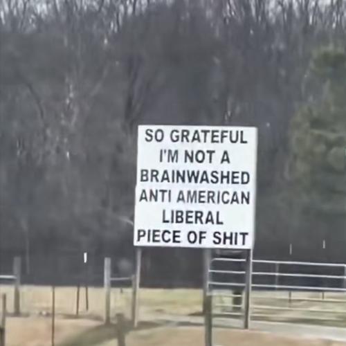 IMG_20250301_154530_362