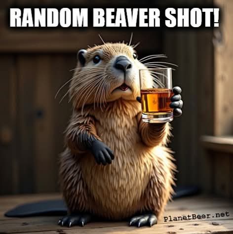 FB_IMG_1741379953416